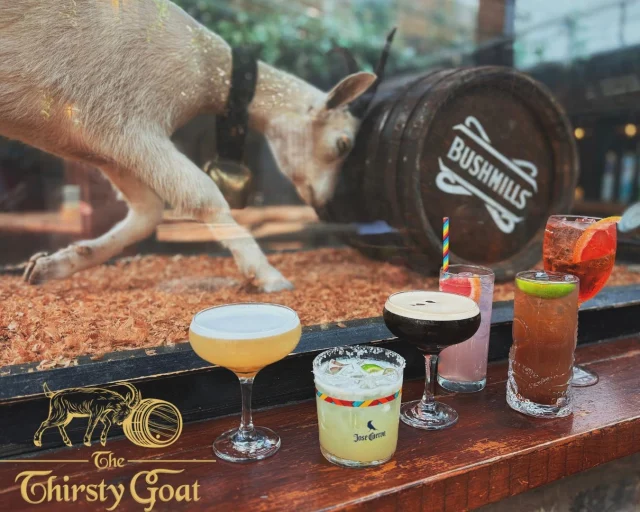 🐐𝐂𝐨𝐜𝐤𝐭𝐚𝐢𝐥𝐬, 𝐠𝐫𝐞𝐚𝐭 𝐟𝐨𝐨𝐝 𝐚𝐧𝐝 𝐭𝐡𝐞 𝐩𝐞𝐫𝐟𝐞𝐜𝐭 𝐚𝐭𝐦𝐨𝐬𝐩𝐡𝐞𝐫𝐞 — 𝐠𝐚𝐭𝐡𝐞𝐫 𝐲𝐨𝐮𝐫 𝐟𝐫𝐢𝐞𝐧𝐝𝐬 𝐚𝐧𝐝 𝐞𝐧𝐣𝐨𝐲 𝐚 𝐟𝐞𝐰 𝐝𝐫𝐢𝐧𝐤𝐬 𝐚𝐭 𝐓𝐡𝐞 𝐓𝐡𝐢𝐫𝐬𝐭𝐲 𝐆𝐨𝐚𝐭 𝐁𝐞𝐥𝐟𝐚𝐬𝐭.
🍽 𝐅𝐨𝐨𝐝 𝐬𝐞𝐫𝐯𝐞𝐝 𝐝𝐚𝐢𝐥𝐲
🎶 𝐋𝐢𝐯𝐞 𝐦𝐮𝐬𝐢𝐜 𝐚𝐥𝐥 𝐰𝐞𝐞𝐤𝐞𝐧𝐝
🍹 𝐂𝐨𝐜𝐤𝐭𝐚𝐢𝐥𝐬, 𝐩𝐢𝐧𝐭𝐬 𝐚𝐧𝐝 𝐩𝐥𝐞𝐧𝐭𝐲 𝐨𝐟 𝐜𝐫𝐚𝐢𝐜
🐐𝐖𝐡𝐞𝐭𝐡𝐞𝐫 𝐲𝐨𝐮’𝐫𝐞 𝐬𝐭𝐨𝐩𝐩𝐢𝐧𝐠 𝐛𝐲 𝐟𝐨𝐫 𝐝𝐢𝐧𝐧𝐞𝐫, 𝐝𝐫𝐢𝐧𝐤𝐬 𝐨𝐫 𝐚 𝐟𝐮𝐥𝐥 𝐧𝐢𝐠𝐡𝐭 𝐨𝐮𝐭, 𝐰𝐞’𝐯𝐞 𝐠𝐨𝐭 𝐞𝐯𝐞𝐫𝐲𝐭𝐡𝐢𝐧𝐠 𝐲𝐨𝐮 𝐧𝐞𝐞𝐝 𝐭𝐨 𝐜𝐞𝐥𝐞𝐛𝐫𝐚𝐭𝐞 𝐭𝐡𝐞 𝐥𝐨𝐧𝐠 𝐰𝐞𝐞𝐤𝐞𝐧𝐝 𝐢𝐧 𝐬𝐭𝐲𝐥𝐞.
#𝐓𝐡𝐞𝐓𝐡𝐢𝐫𝐬𝐭𝐲𝐆𝐨𝐚𝐭 #𝐁𝐞𝐥𝐟𝐚𝐬𝐭𝐁𝐚𝐫𝐬 #𝐁𝐞𝐥𝐟𝐚𝐬𝐭𝐂𝐨𝐜𝐤𝐭𝐚𝐢𝐥𝐬 #𝐋𝐢𝐯𝐞𝐌𝐮𝐬𝐢𝐜𝐁𝐞𝐥𝐟𝐚𝐬𝐭 #𝐅𝐨𝐨𝐝𝐒𝐞𝐫𝐯𝐞𝐝𝐃𝐚𝐢𝐥𝐲 #𝐁𝐞𝐥𝐟𝐚𝐬𝐭𝐍𝐢𝐠𝐡𝐭𝐥𝐢𝐟𝐞 #𝐂𝐨𝐜𝐤𝐭𝐚𝐢𝐥𝐓𝐢𝐦𝐞 #𝐁𝐞𝐥𝐟𝐚𝐬𝐭𝐒𝐨𝐜𝐢𝐚𝐥 🍸🎶🐐
